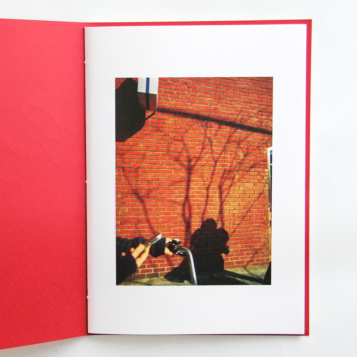 絶景のポリフォニー 石川竜一 サイン入り 絶景のポリフォニー / A Grand Polyphony（Signed） - 石川 竜一