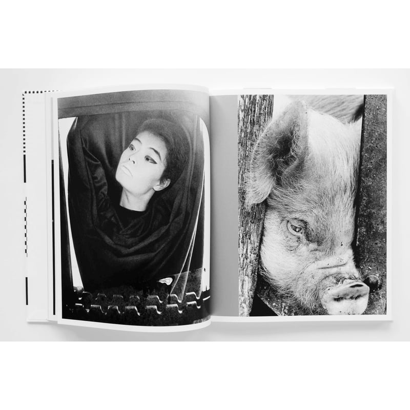 深瀬昌久『遊戯』 | Fugensha STORE