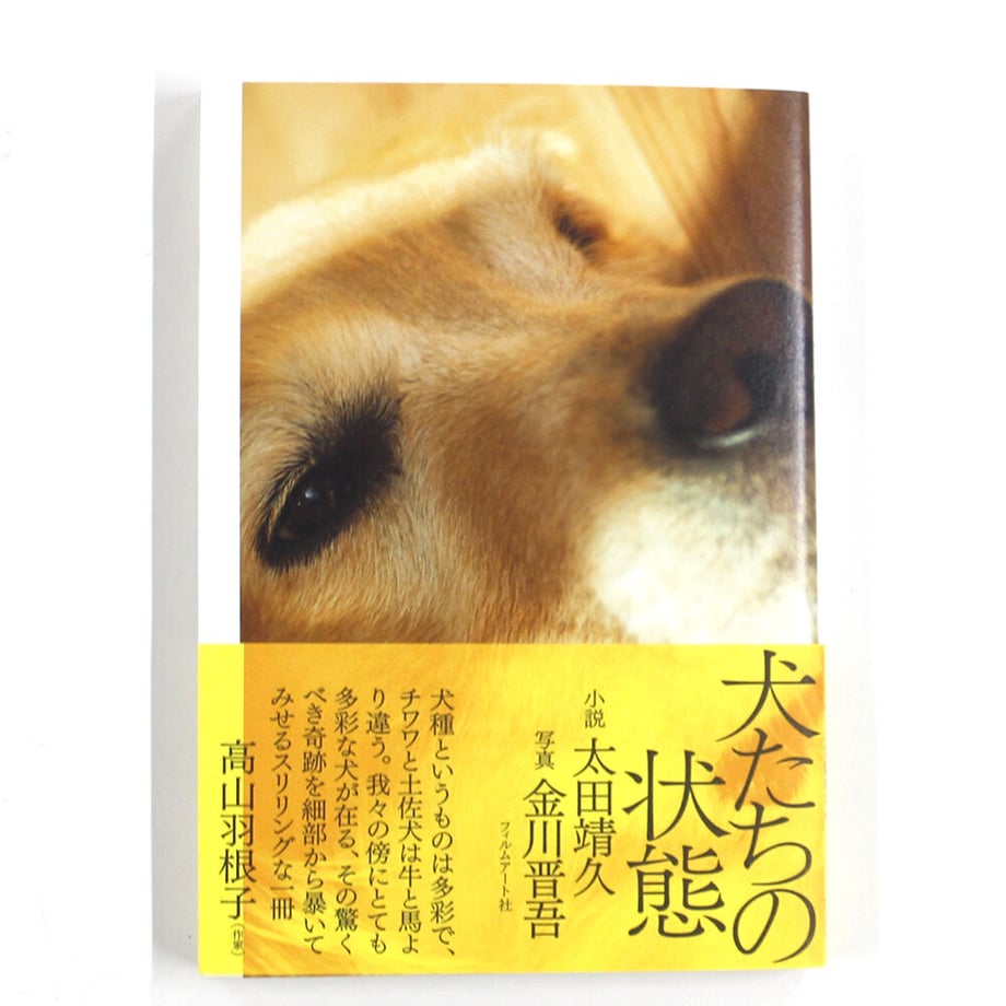 61051c2746e30e745ce6b9af