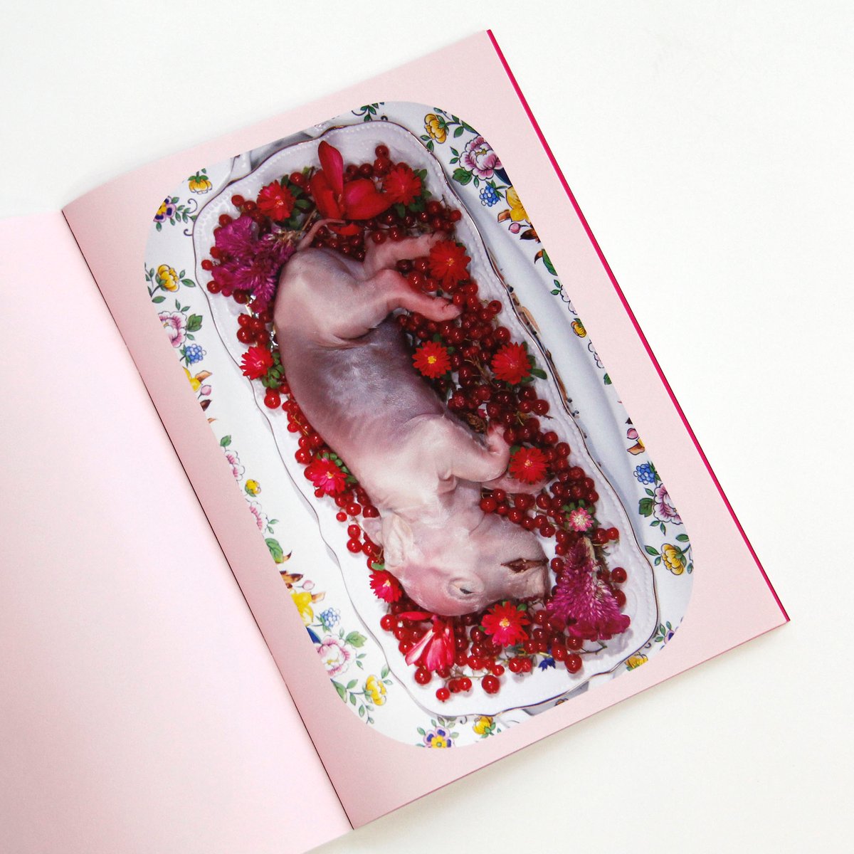 うつゆみこ『Bon appétit』（サイン入り） | Fugensha STORE