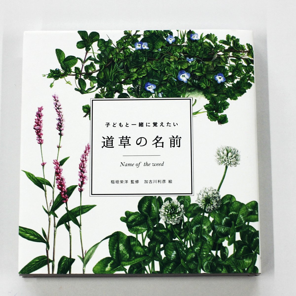 稲垣栄洋 『子どもと一緒に覚えたい道草の名前』 | Fugensha STORE