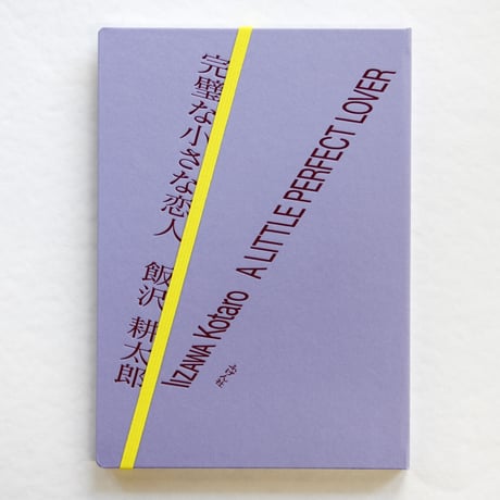飯沢耕太郎『完璧な小さな恋人』