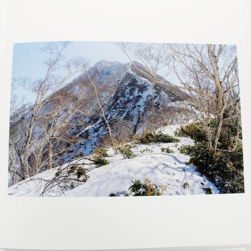 石川竜一『いのちのうちがわ』（サイン、エディション入り、特典トート