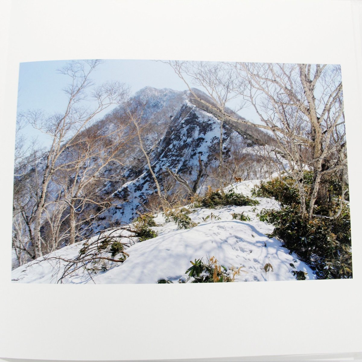 石川竜一『いのちのうちがわ』（サイン、エディション入り、特典トート