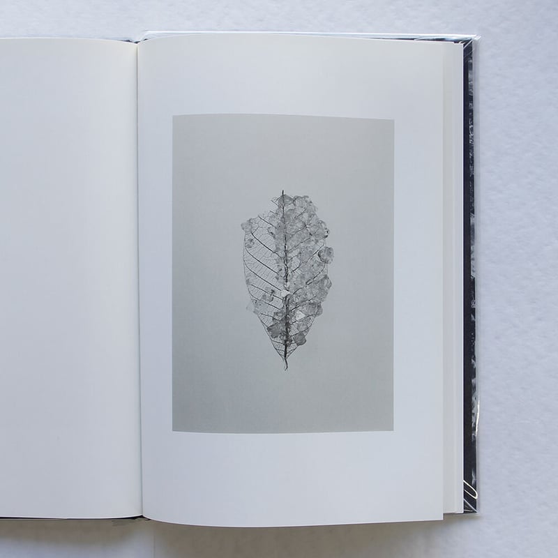 細倉真弓『TRANSPARENCY IS THE NEW MYSTERY』（サイン入り） |