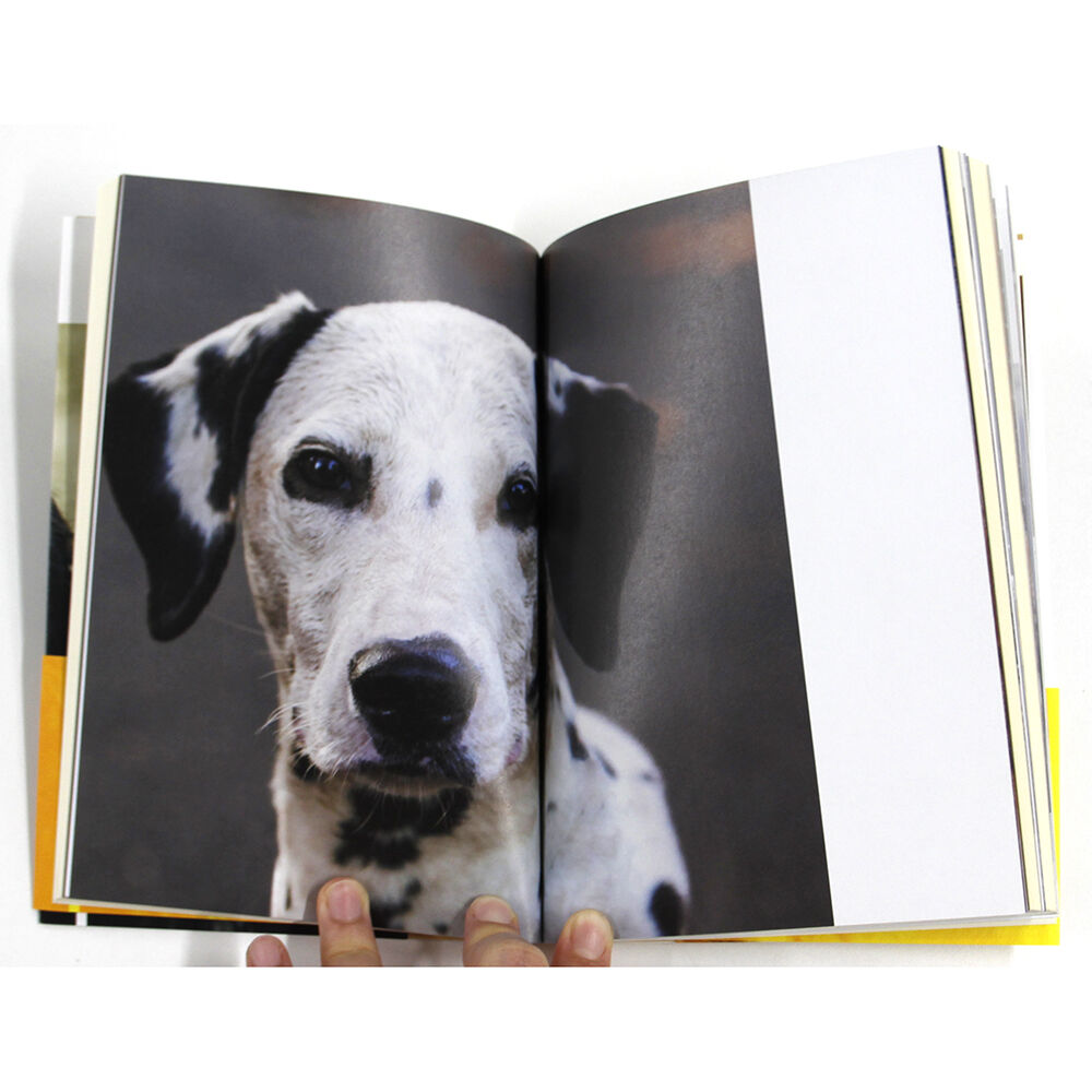 太陽'8１　臨時増刊 　特集決定版 犬歳年賀状図案1001集　希少昭和本 太田靖久, 金川晋吾『犬たちの状態』（サイン入り） | Fugensha