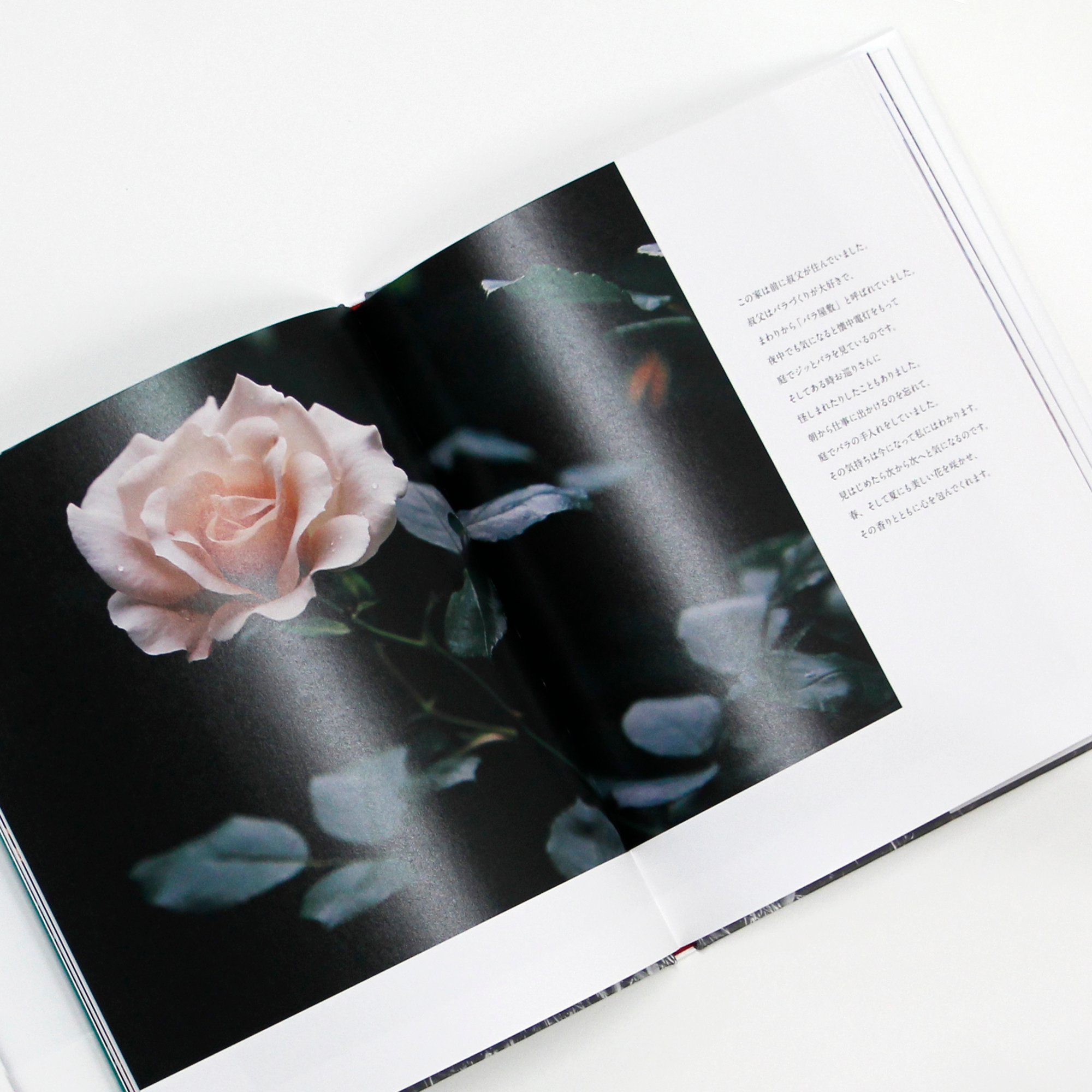 薔薇生花 7月文月様 公文健太郎『バラの花咲く家』（サイン入り） | Fugensha STORE