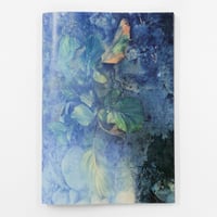 水越武『真昼の星への旅』 | Fugensha STORE