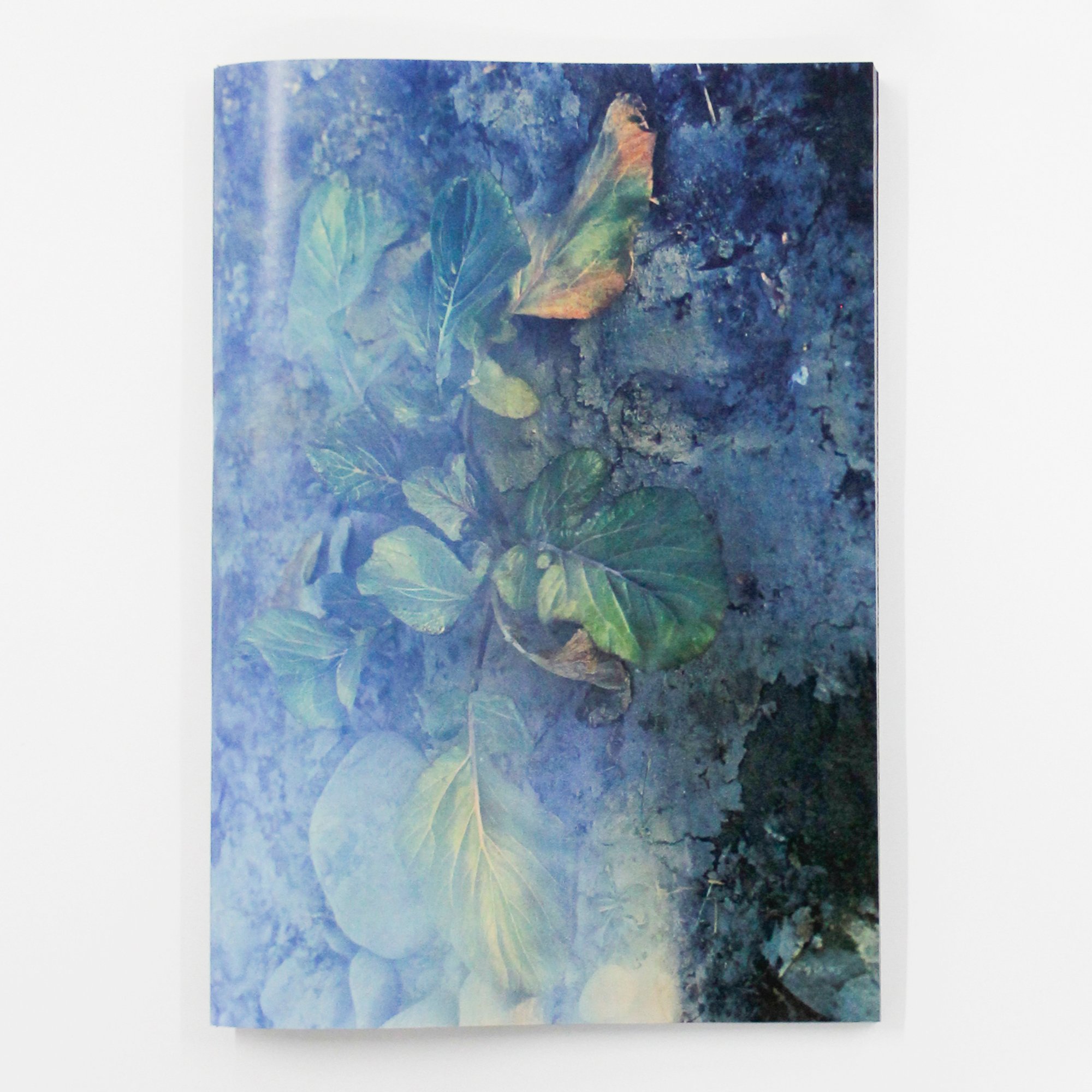 横田大輔『植物、多摩川中流域、冬』（サイン入り） | Fugensha STORE