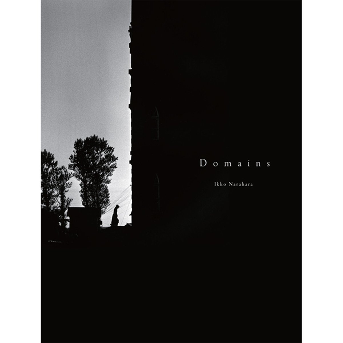 奈良原一高　王国　図録 Narahara Ikko（奈良原一高） DOMAINS（王国）図録 2014年 東京