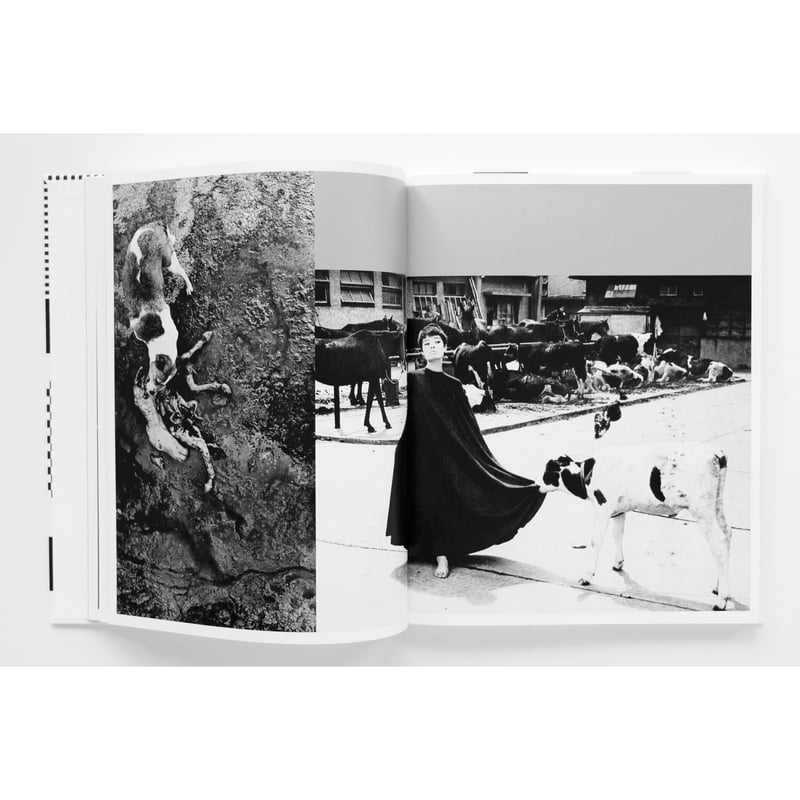 深瀬昌久『遊戯』 | Fugensha STORE