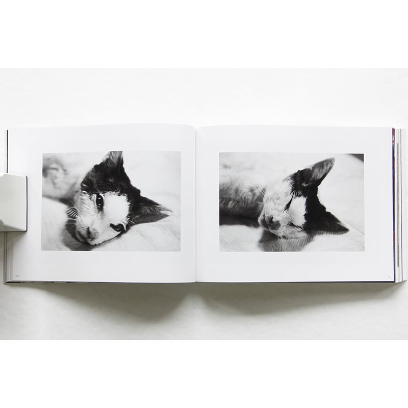 終戦後 荒木経惟 写真集 荒木経惟 「終戦後」 | 古書サンカクヤマㅤㅤㅤㅤㅤㅤㅤㅤㅤㅤㅤ