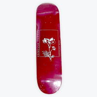 MEOW / VANESSA TORRES "THRIVING DECK" 7.75inch