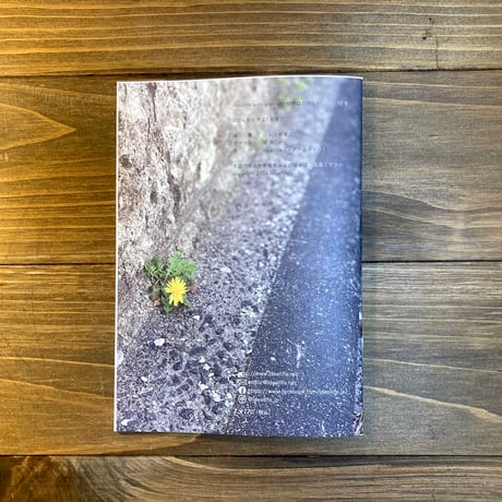 ideallife with plants 15号　たんぽぽ