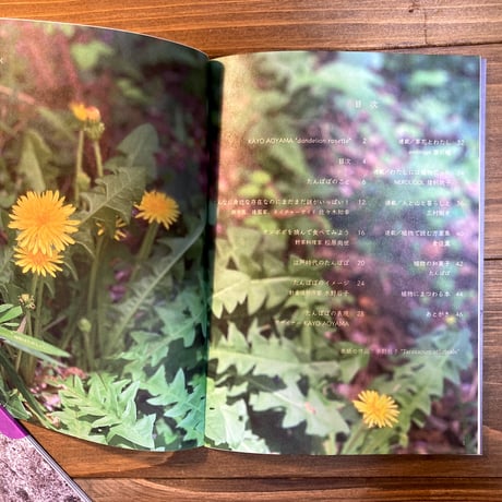 ideallife with plants 15号　たんぽぽ