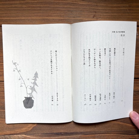 文集・私の生存戦略