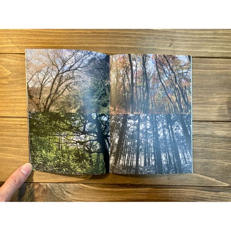 ideallife with plants 13号　人と山／植物のおもいで
