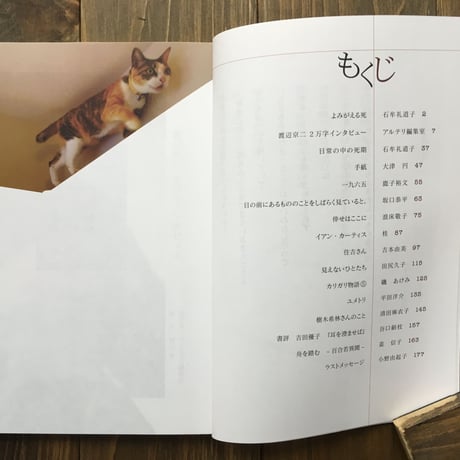 アルテリ 第七号