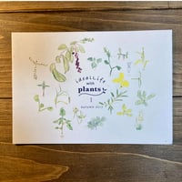 （B本）ideallife with plants 創刊号　植物はたのしい。