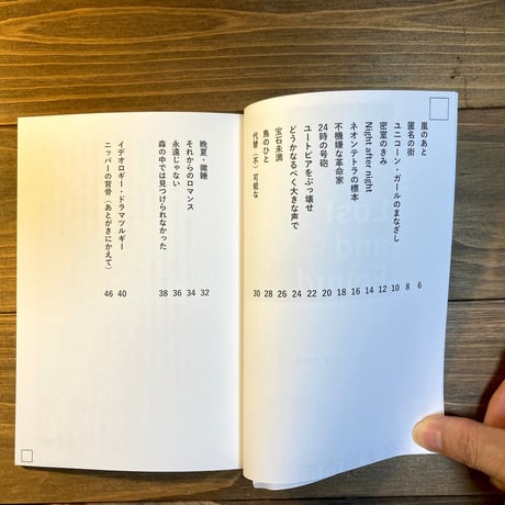 （サイン本） 『Lost and Found（すべて瞬きのなかに）』オルタナ旧市街・散（逸）文集