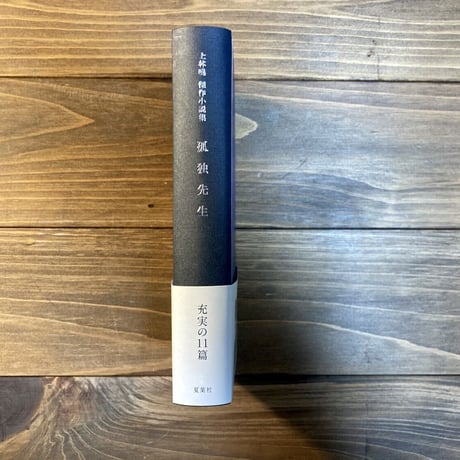 孤独先生　上林暁傑作小説集