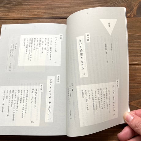 大きなシステムと小さなファンタジー