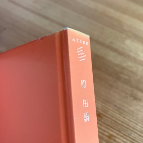 落としもの（痛みあり）