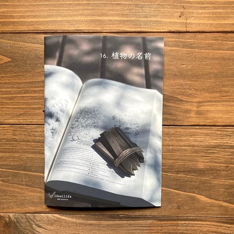 ideallife with plants 16号　植物の名前