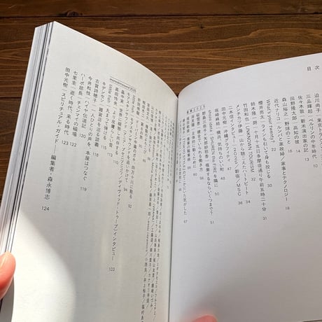 なnD12（リニューアル号）