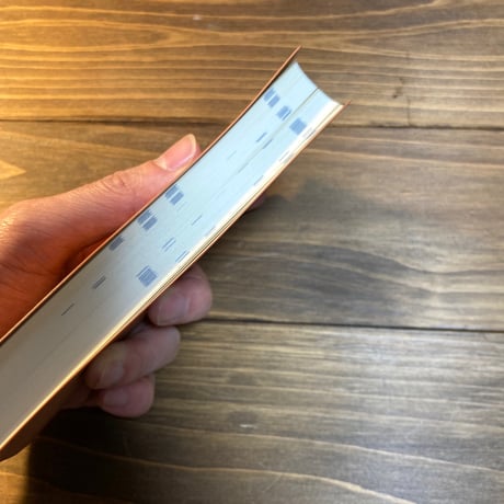 名付けたものどもを追う道筋を歩きながら、（ショートスパンコール2）