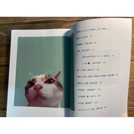 アルテリ　十一号
