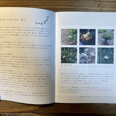 ideallife with plants 11号　植物の香り