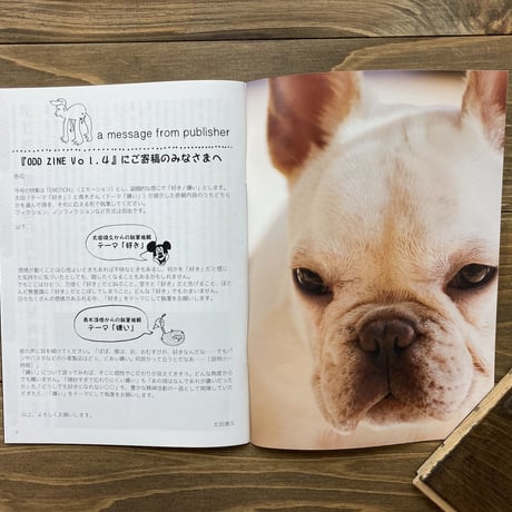 ODDZINE Vol.4 （EMOTION 好き／嫌い）