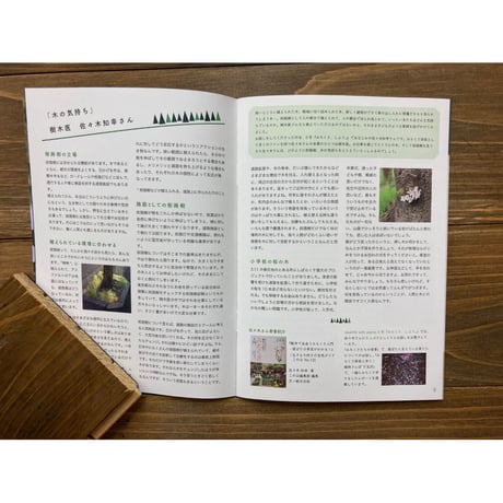 ideallife with plants 9号（街路樹）