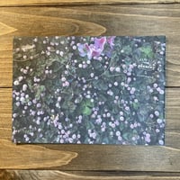ideallife with plants 5号　みちくさ、しよう。