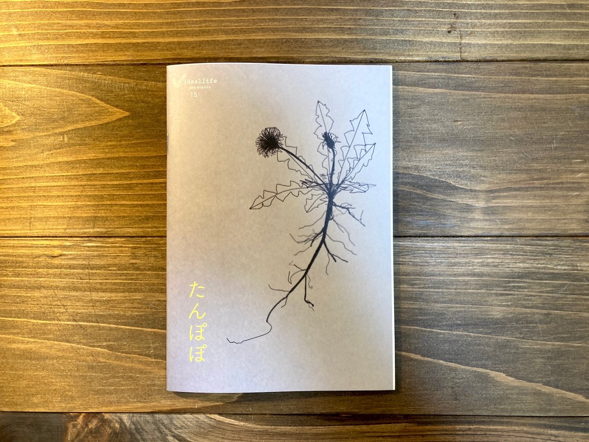 ideallife with plants 15号 たんぽぽ | H.A.Bノ通販