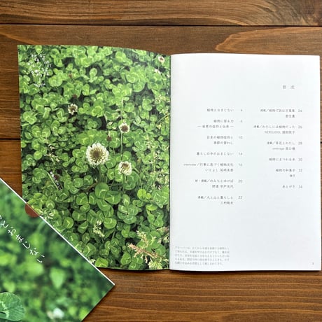 ideallife with plants 18号　植物とおまじない