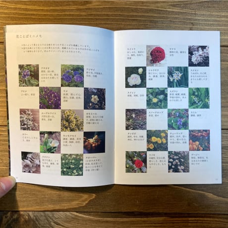 ideallife with plants 12号　花ことば