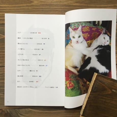アルテリ第九号