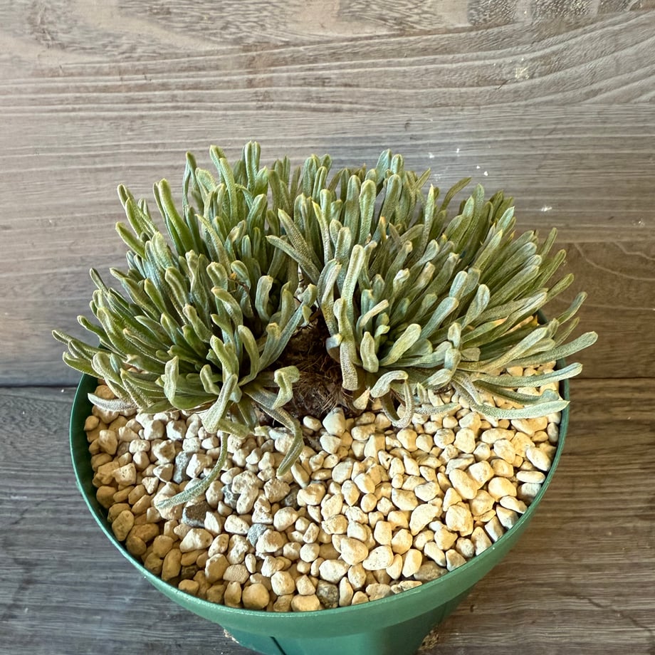 690585bf6dd9a9e6bce3e3f6