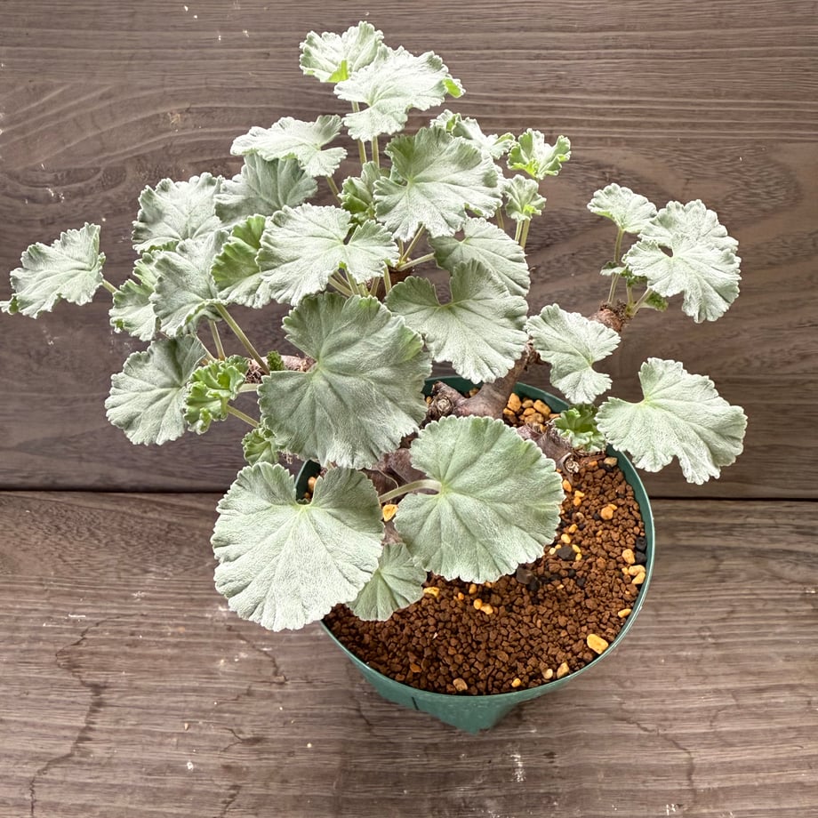 68e856b0a18e8d127b01cd16