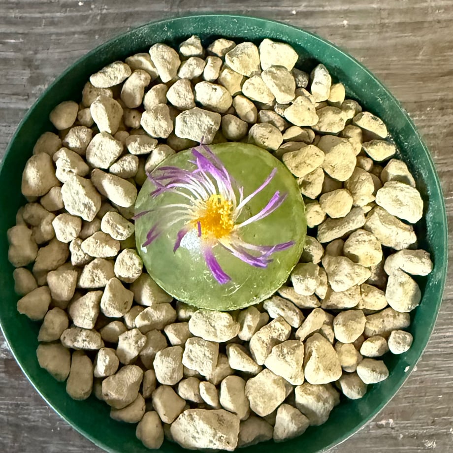 6905d3ca9ecae65e3b18c5c2