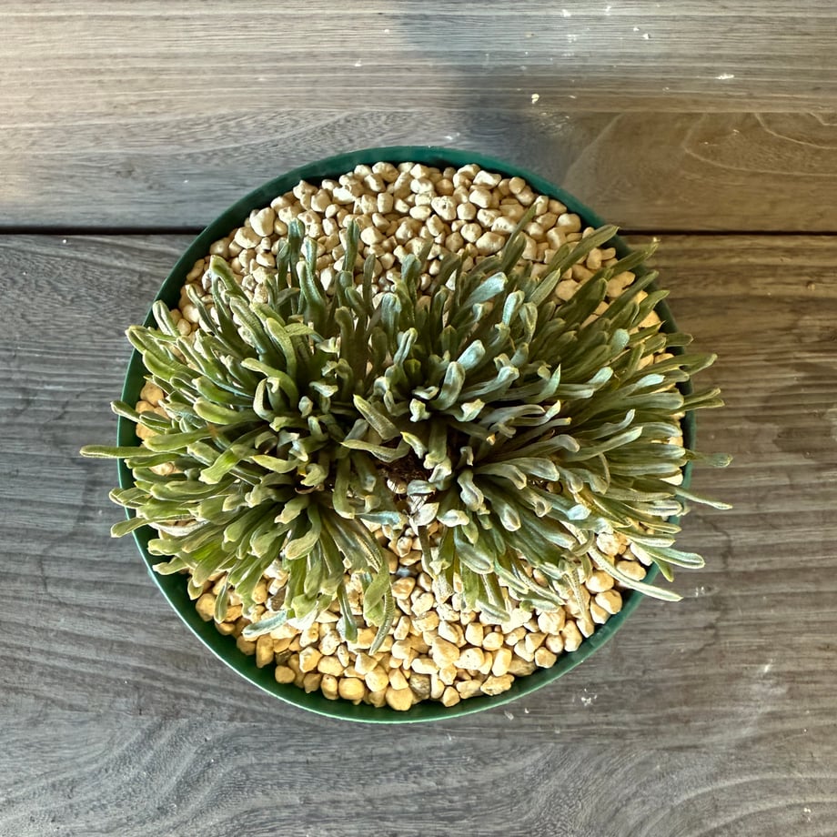 690585bf6dd9a9e6bce3e3f6