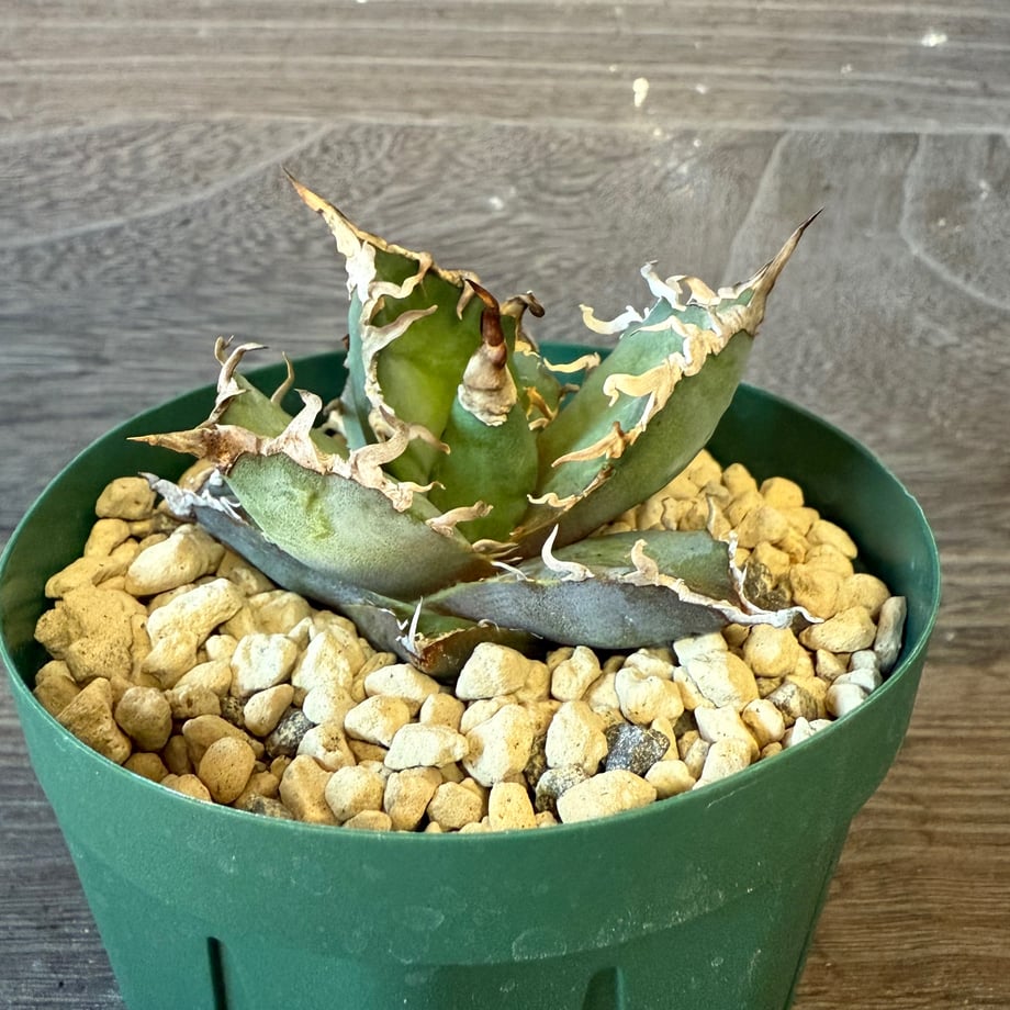 690540093e22b36cd9c0b73b