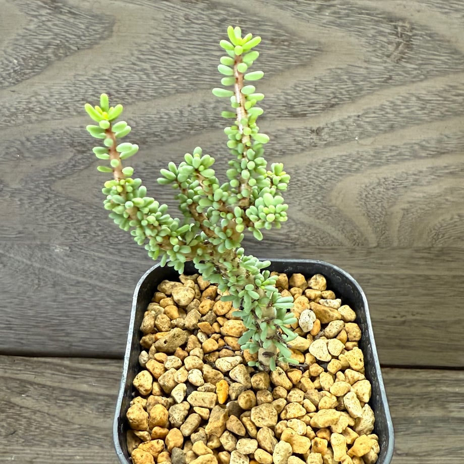 68e85759a18e8d127b01cd4a