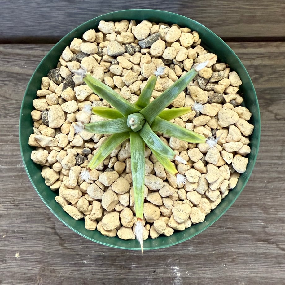 68e85f06a18e8da84801cd12