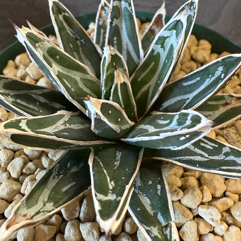 69053adca751090e9f30e1aa