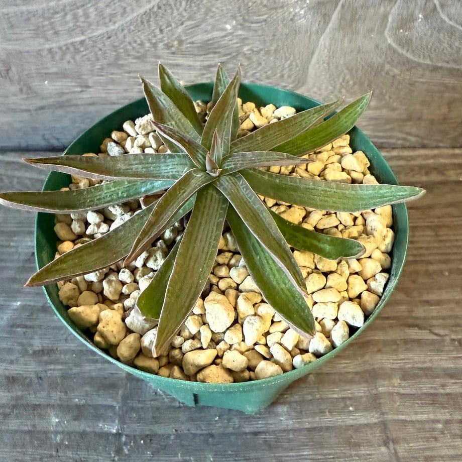 69058b5e49abedd8f0d1d5ad