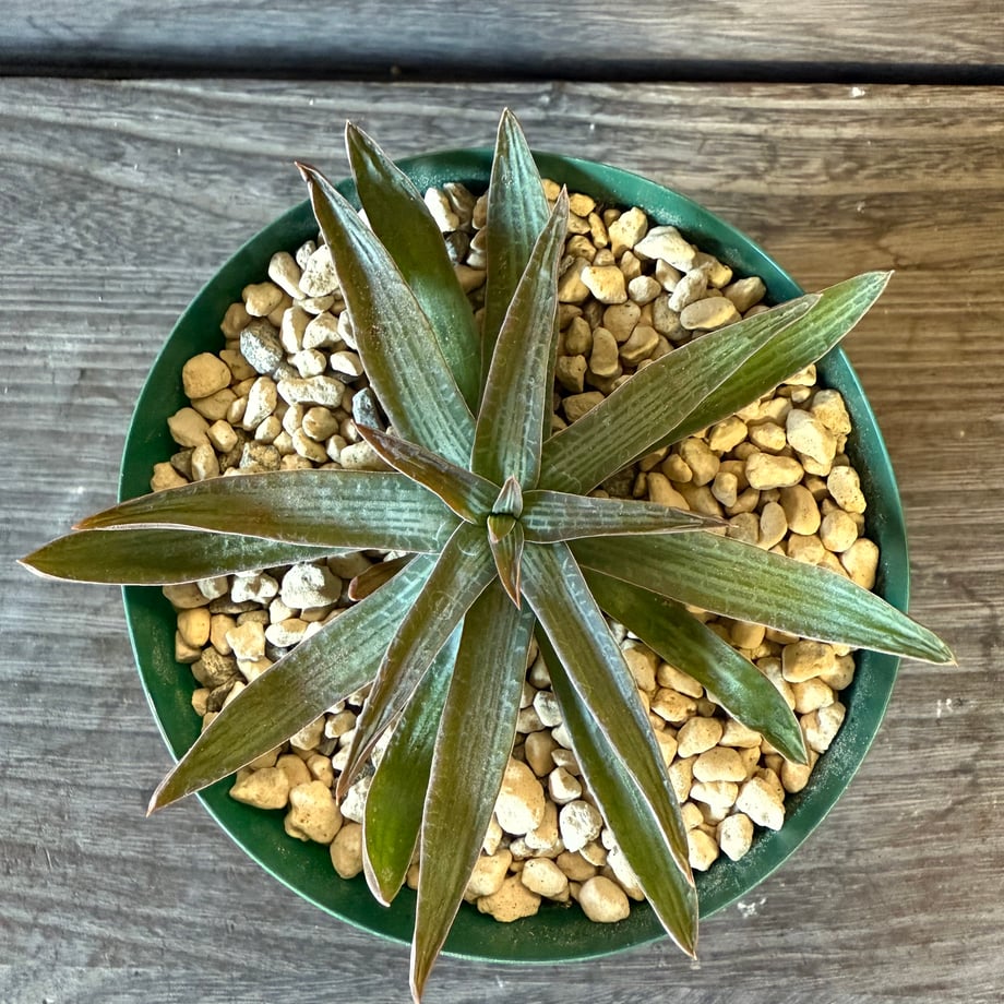 69058b5e49abedd8f0d1d5ad