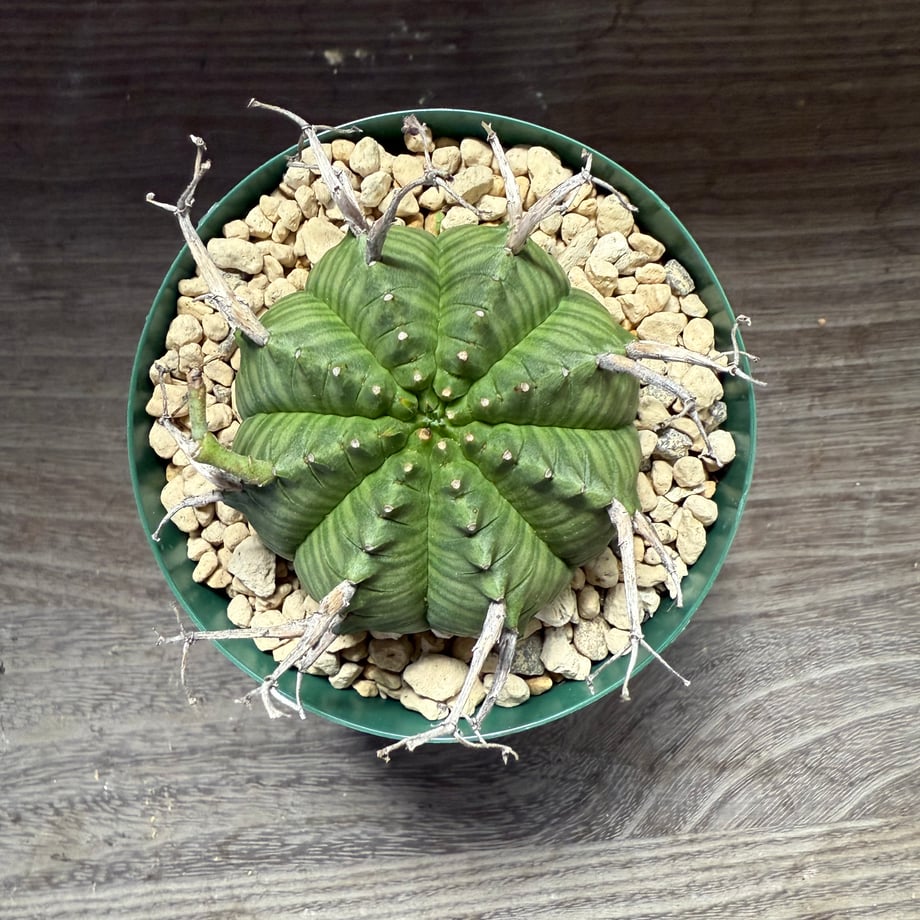 68b44bd99b0fd5f8a298c2c6